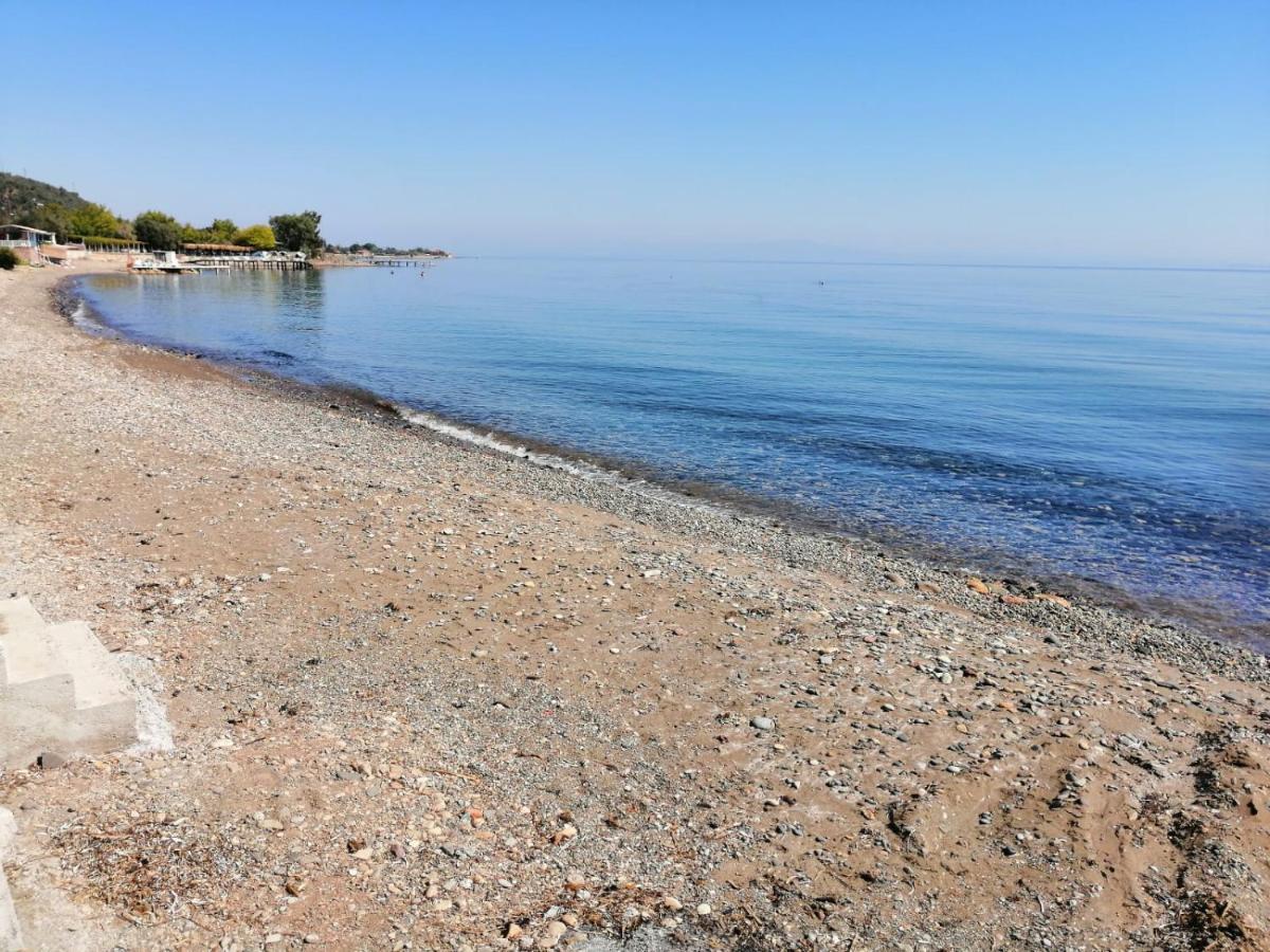 Assos Yali Butik Otel Beach Ahmetce  المظهر الخارجي الصورة
